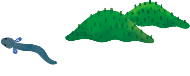 うなぎイラスト